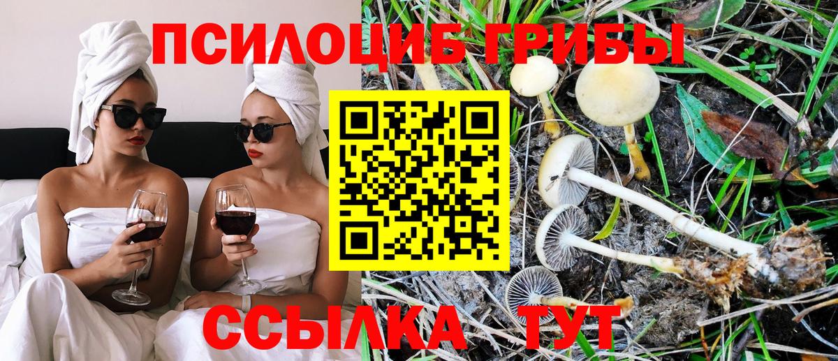 Екатеринбург  наркотики  Псилоцибиновые грибы мухоморы  Вход с VPN  Псилоцибиновые грибы GOLDEN TEACHER 